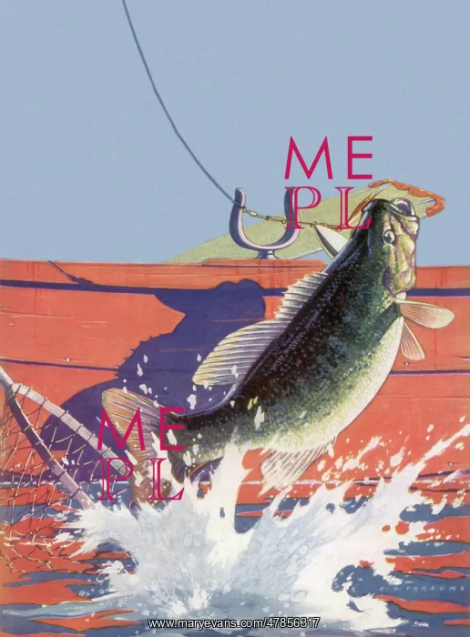: A Fish is Hooked : A Fish is Hooked