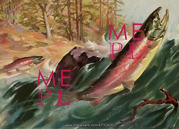  : Fish Leaping out of River