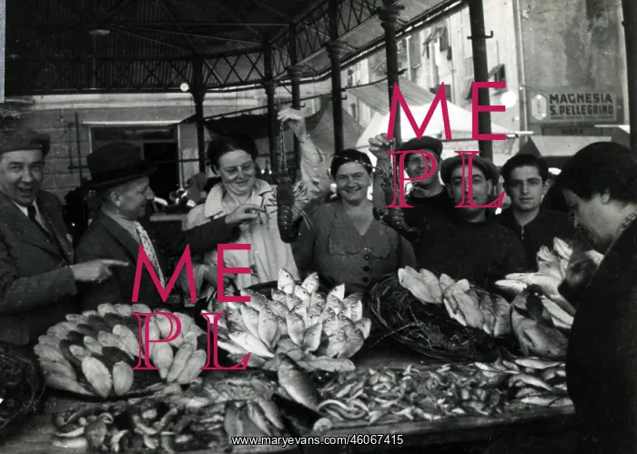 : Fish market : Fish market