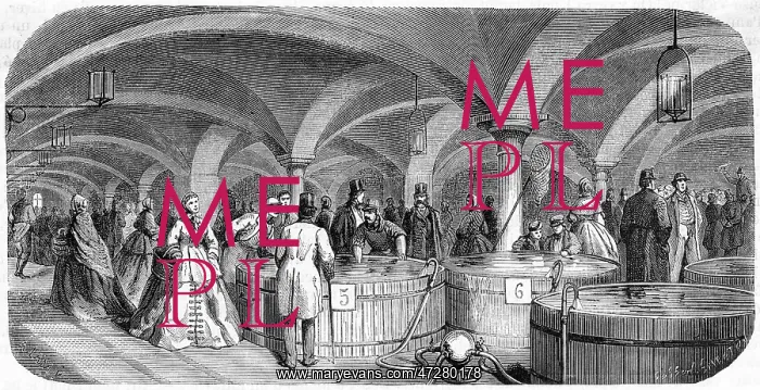 : FISH MARKET / VIENNA : FISH MARKET / VIENNA