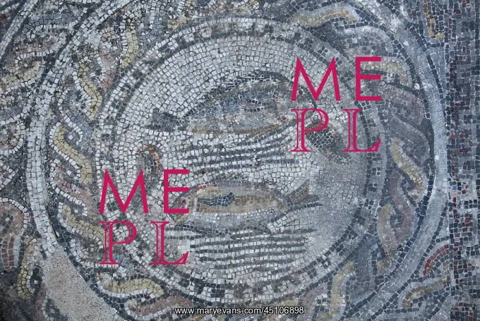 : Fish mosaic, House of Ephebe, Volubilis, Meknes-Tafilalet : Fish mosaic, House of Ephebe, Volubilis, Meknes-Tafilalet