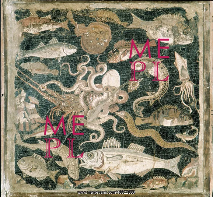 : Fish Mosaic from Pompeii : Fish Mosaic from Pompeii