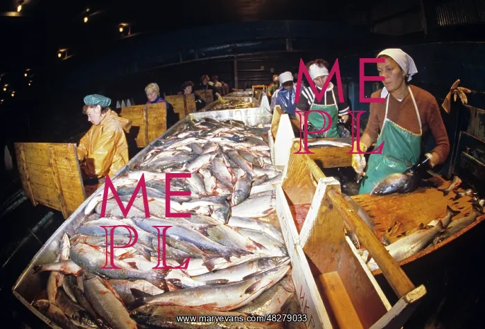 : Fish processing, 1987 : Fish processing, 1987