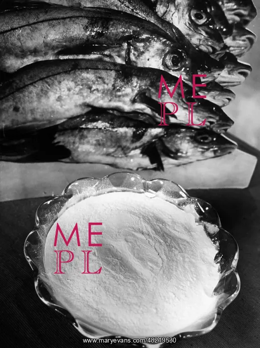 : Fish protein at the German material exhibition, 1938 : Fish protein at the German material exhibition, 1938