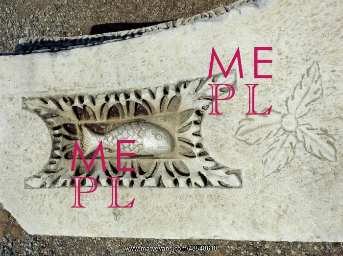 : Fish. Relief. Theatre of Hierapolis. Turkey : Fish. Relief. Theatre of Hierapolis. Turkey