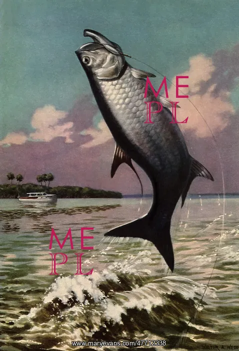  : Fish out of Water