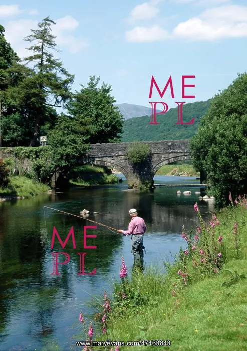  : Fisherman - River Dwyryd, Maentwrog with pink foxgloves on the bank
