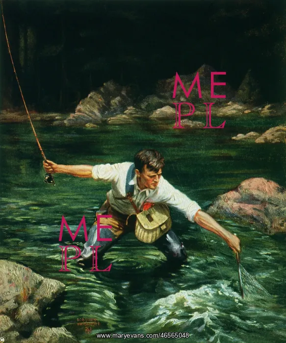 : Fisherman knee-deep in a stream, landing a trout : Fisherman knee-deep in a stream, landing a trout
