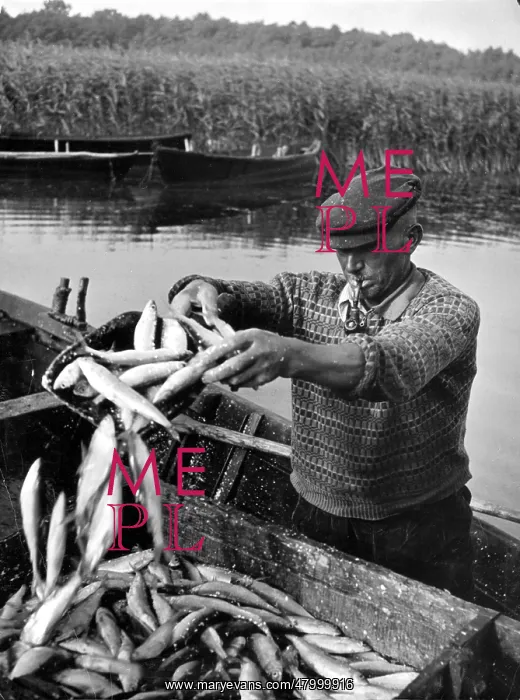 : Fisherman from Masuria with whitefish : Fisherman from Masuria with whitefish