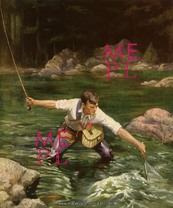  : Fisherman Nets Trout