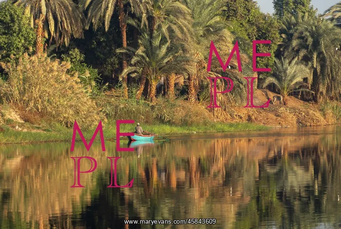 : Fisherman, River Nile, Aswan Governate, Egypt : Fisherman, River Nile, Aswan Governate, Egypt