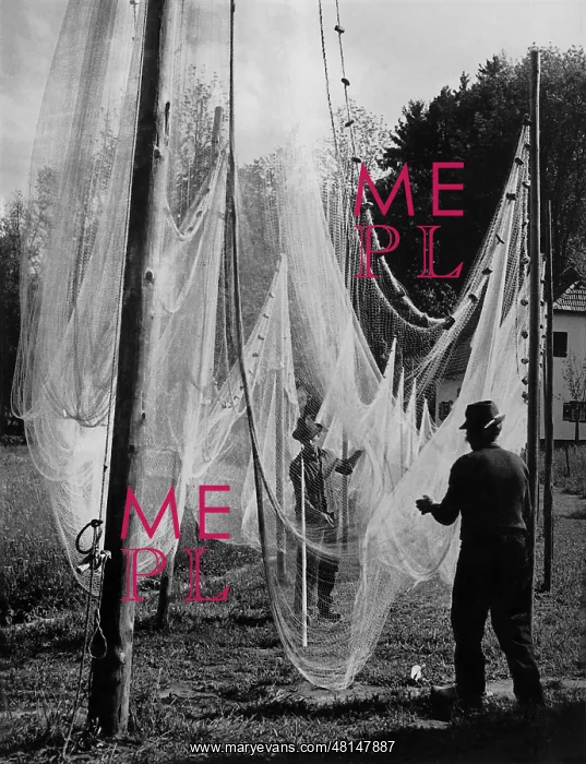 : Fisherman while unclamping the net, 1938 : Fisherman while unclamping the net, 1938