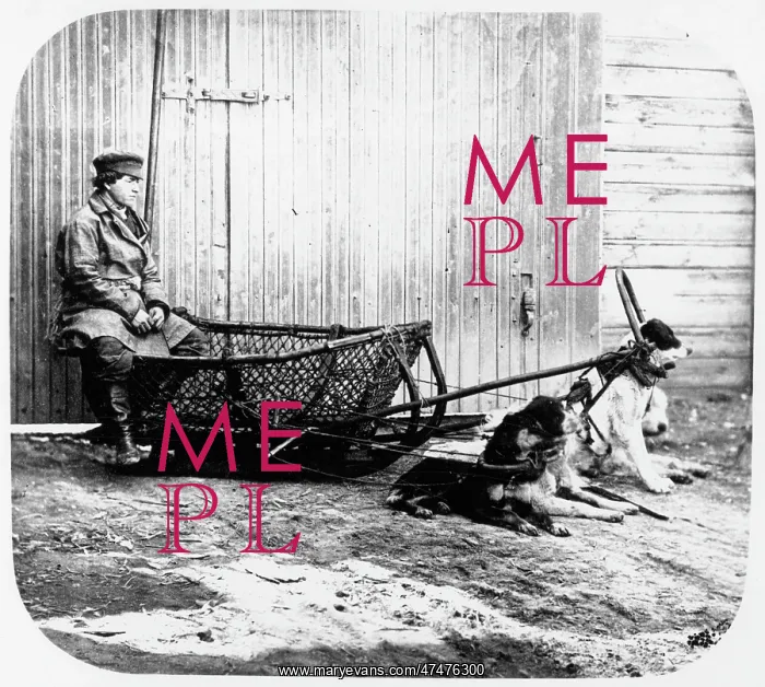 : Fishermans Sledge - Pulled by Dogs : Fishermans Sledge - Pulled by Dogs
