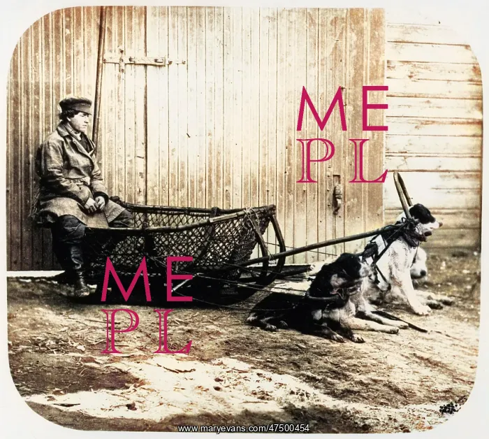 : Fishermans Sledge - Pulled by Dogs : Fishermans Sledge - Pulled by Dogs