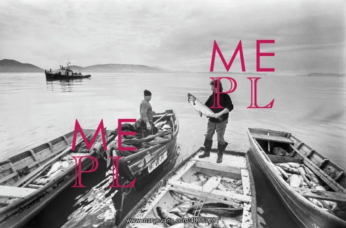 : Fishermen in Avacha Bay : Fishermen in Avacha Bay
