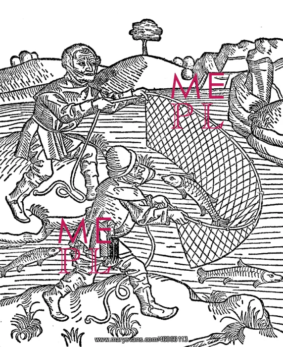  : fishery, drop net, 1484