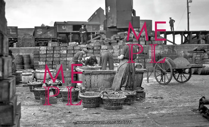 : Fishery workers : Fishery workers
