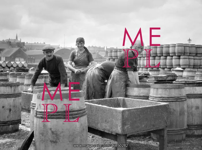 : Four fishery workers : Four fishery workers