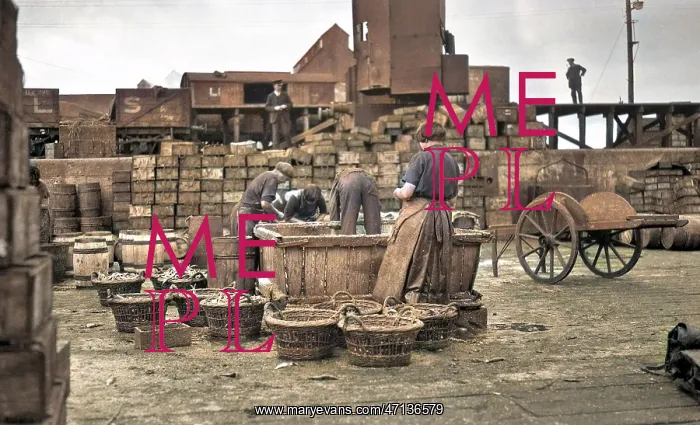 : Fishery workers : Fishery workers