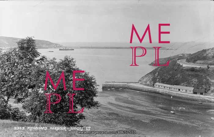 : Fishguard Harbour View : Fishguard Harbour View