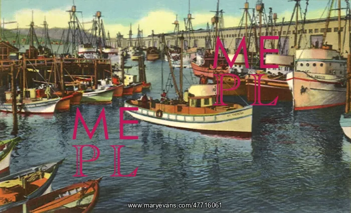 : Fishing Boats. San Francisco : Fishing Boats. San Francisco