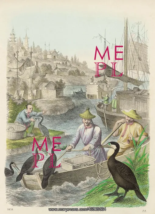  : FISHING WITH CORMORANTS