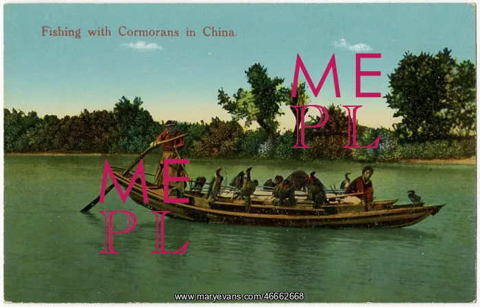 : Fishing with cormorants - China