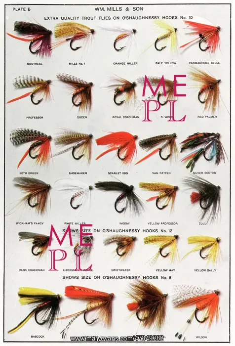  : Fishing Flies (American)