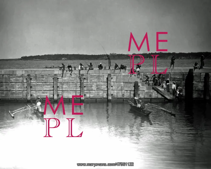 : Fishing from a harbour wall, India : Fishing from a harbour wall, India