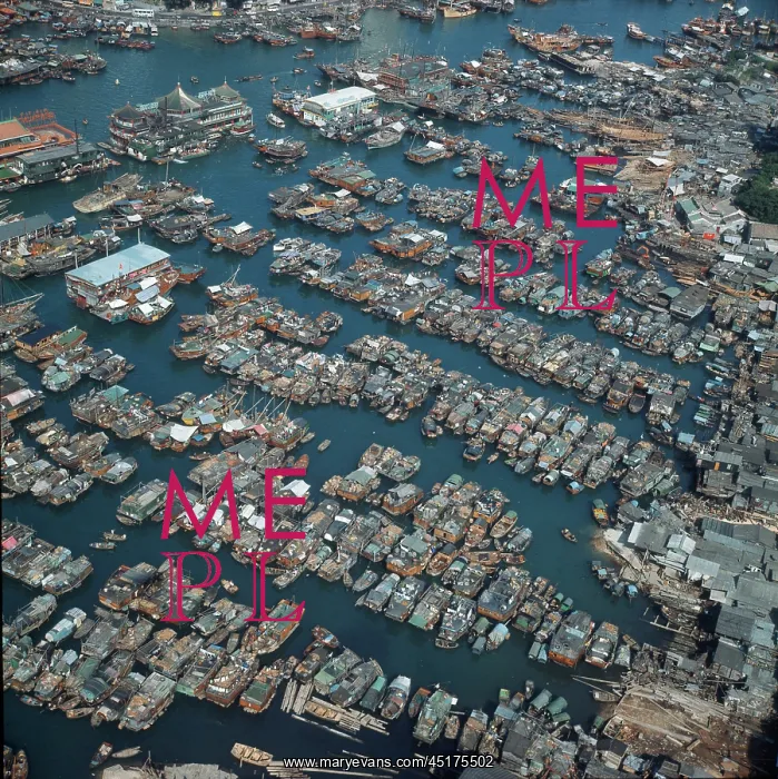 : FISHING JUNKS / HONG KONG : FISHING JUNKS / HONG KONG