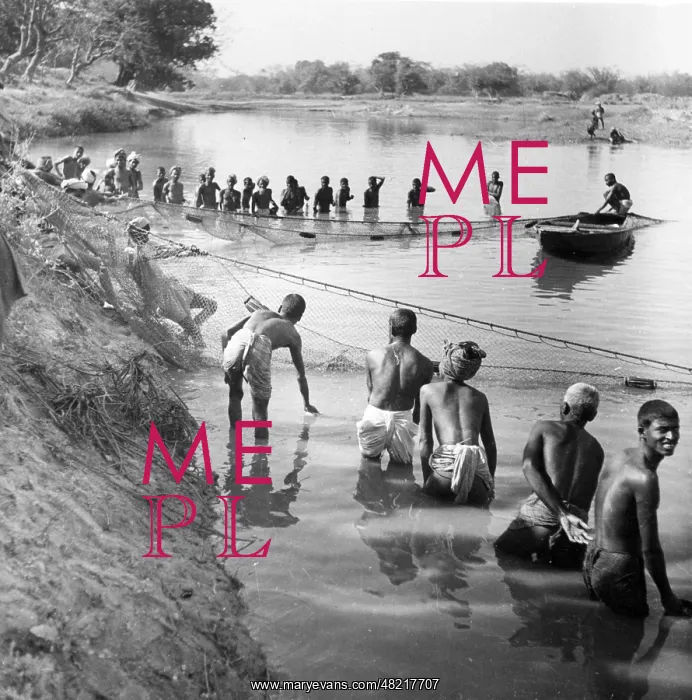 : Fishing near Purnea, 1936 : Fishing near Purnea, 1936