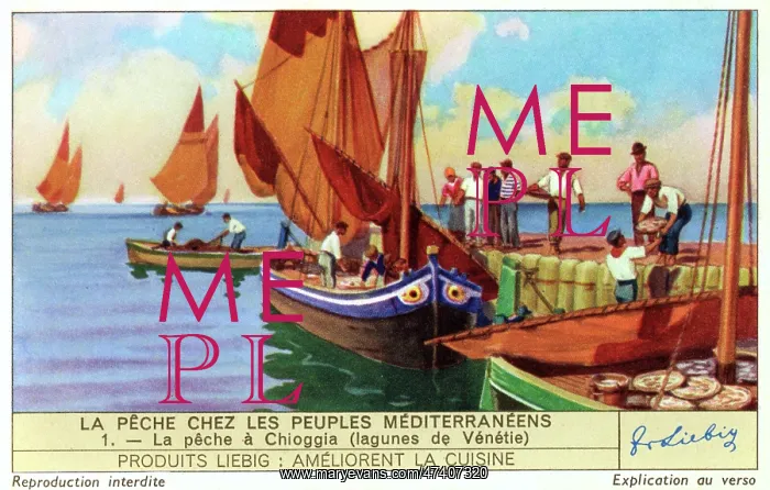 : FISHING NEAR VENICE : FISHING NEAR VENICE