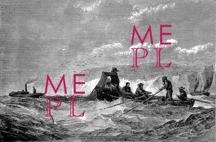 : Fishing for Pilchards 1871 : Fishing for Pilchards 1871