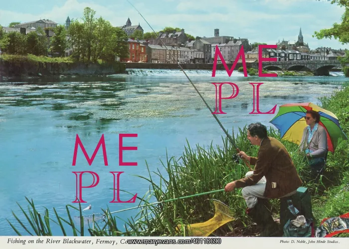 : Fishing on the river Blackwater, Fermoy, County Cork, Irelan : Fishing on the river Blackwater, Fermoy, County Cork, Irelan