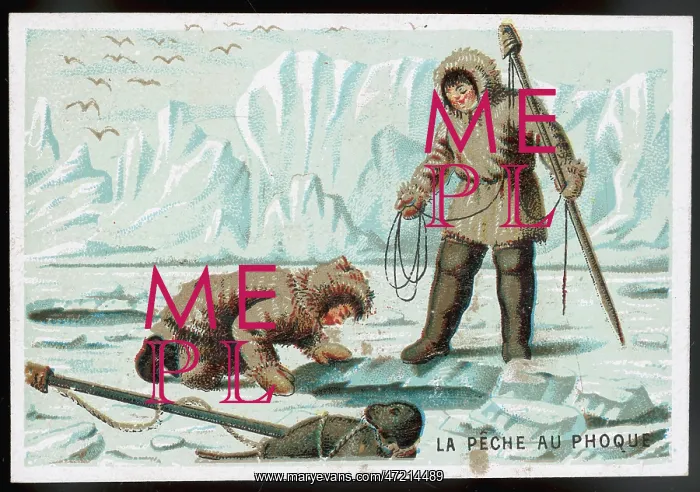  : FISHING FOR SEAL