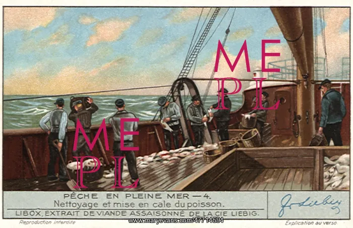  : Fishing Ship