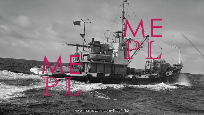 : Fishing in Tatar Strait : Fishing in Tatar Strait