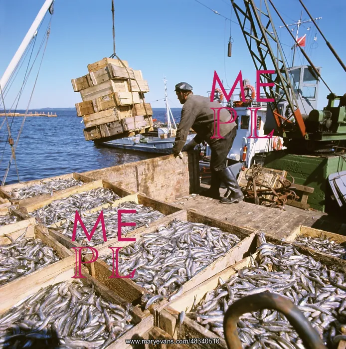 : Fishing vessels unloaded, 1976 : Fishing vessels unloaded, 1976