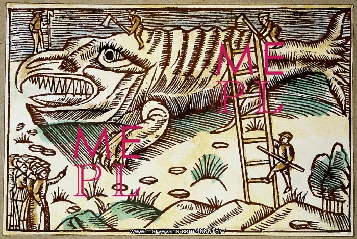 : fishing, whaling, peeling of a stranded whale : fishing, whaling, peeling of a stranded whale