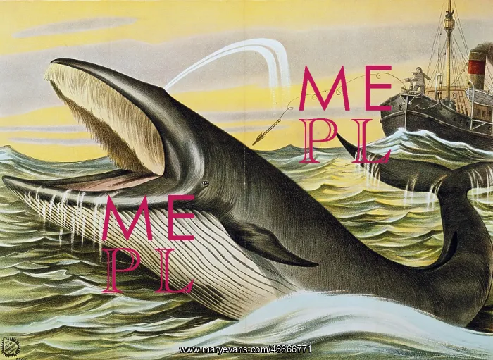 : fishing, whaling, poster for the exhibition of : fishing, whaling, poster for the exhibition of