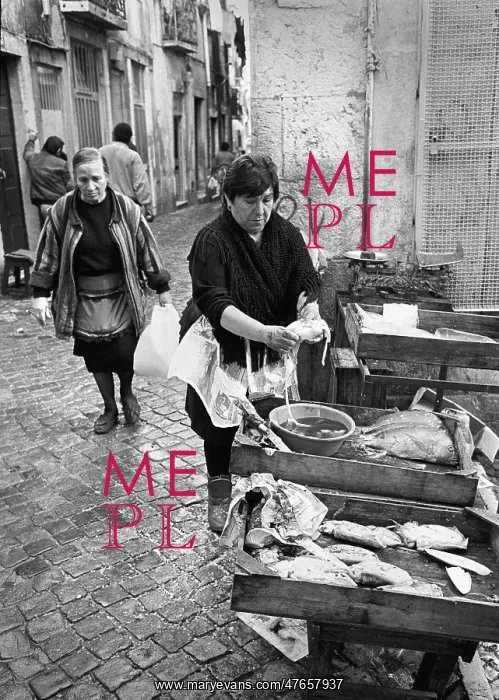 : Fishmonger, Lison, Portugal - 2 : Fishmonger, Lison, Portugal - 2