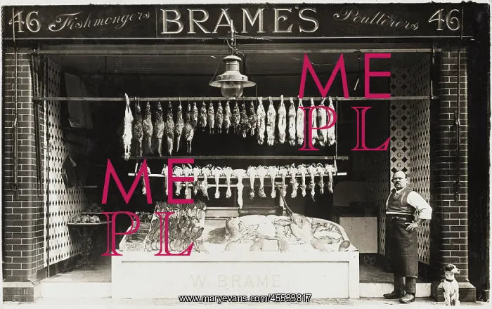: Fishmonger and Poulterer on Elizabeth St : Fishmonger and Poulterer on Elizabeth St