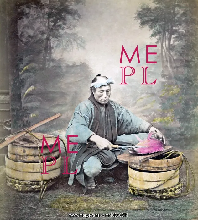  : Fishmonger at work, Japan, circa 1880s