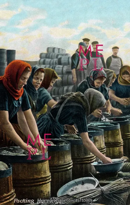  : Fishwives packing herring - North East England