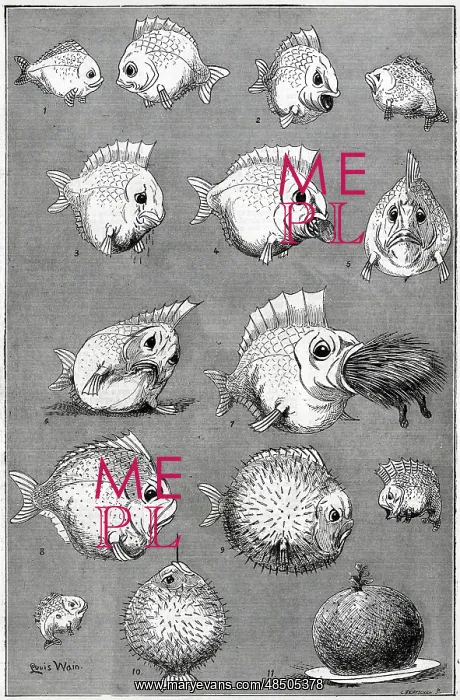 : A Very Fishy Story, by Louis Wain : A Very Fishy Story, by Louis Wain