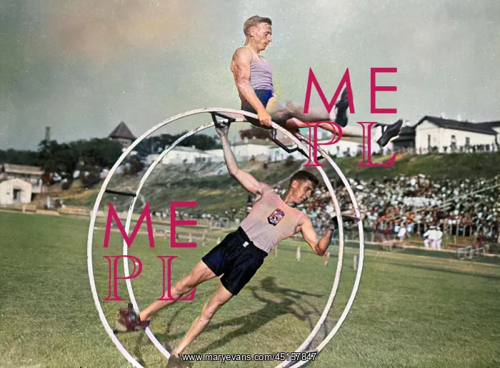 : FITNESS DISPLAY : FITNESS DISPLAY