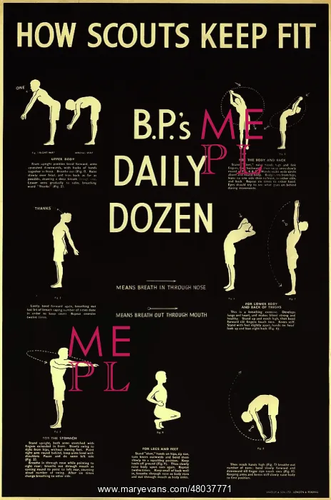  : Fitness Poster - Scouts