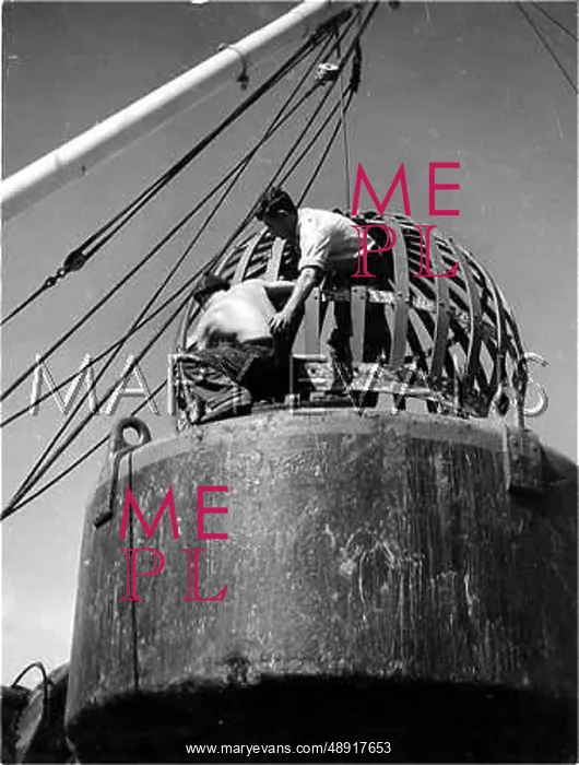 : FITTING BUOY CAGE : FITTING BUOY CAGE