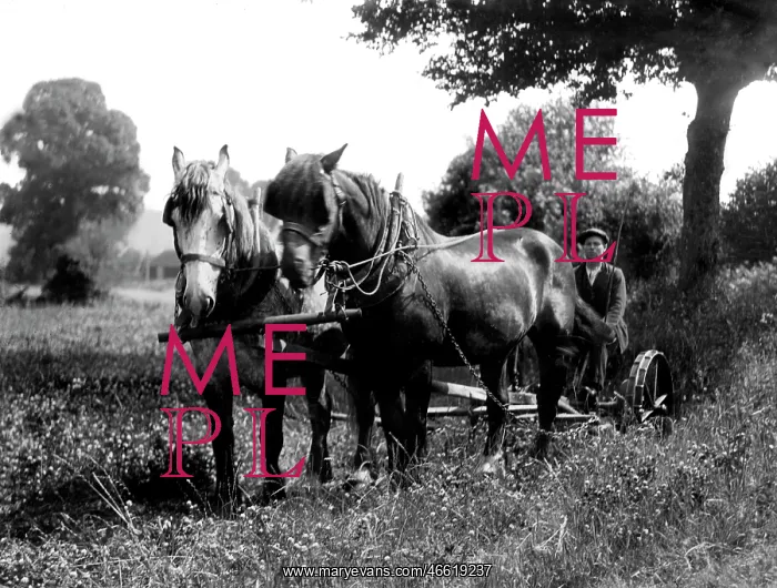  : Fittleworth, Two Horse Power c1940