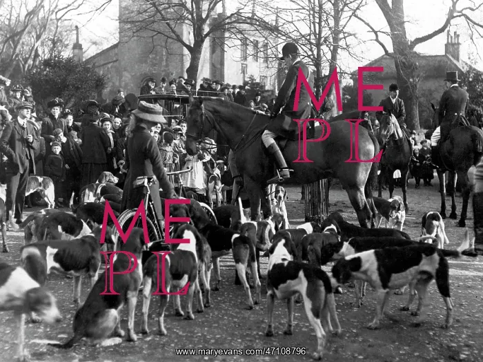 : Fitzwilliam Hounds, Everton 30th January 1911